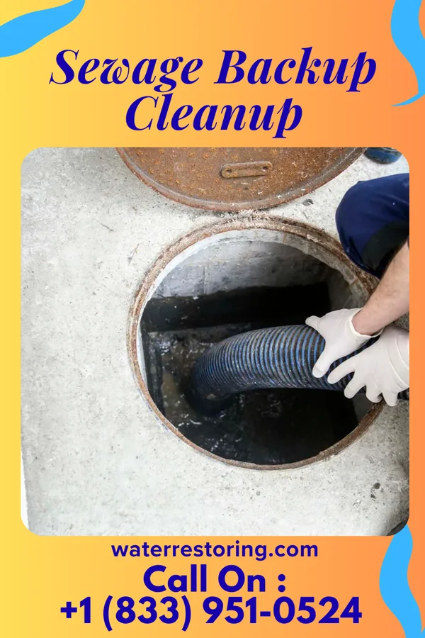 Sewage Backup Cleanup in Seven Oaks, SC